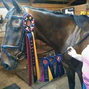 Meet your Posher, Laurel